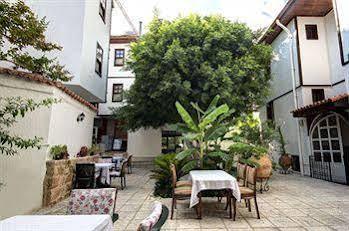 White Garden Pansion