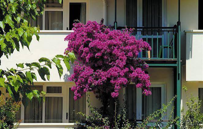 Aska Costa Holiday Club