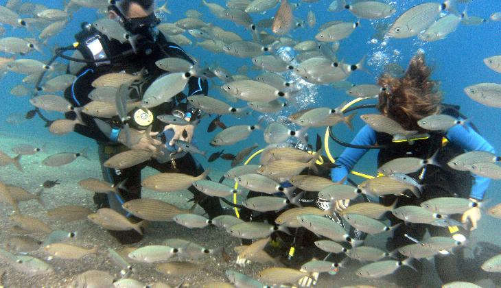 Kipriotis Panorama Hotel & Suites