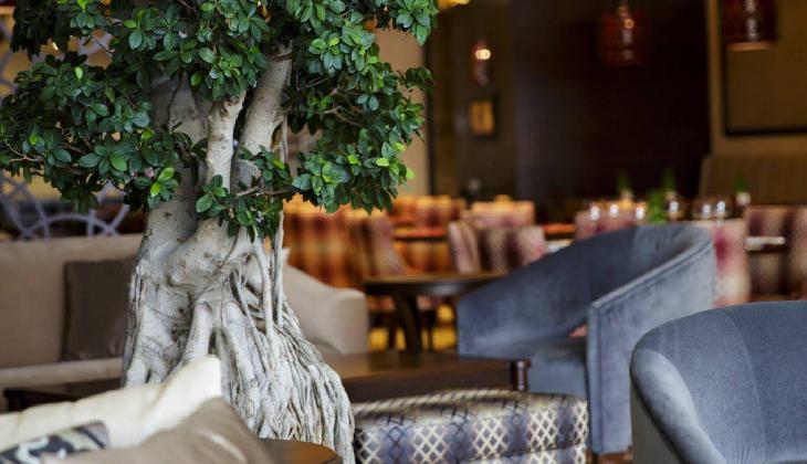 هتل گرند آراس سوئیت