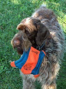 Travelodge Ottawa East