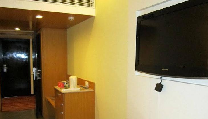 Manasarovar - The Fern