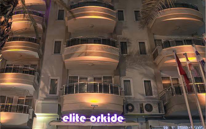 Elite Orkide Suite and