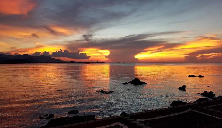 Tamarina Bed and Beyond