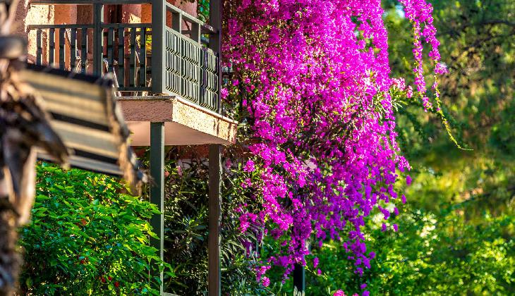 Grand Yazici Club Marmaris Palace