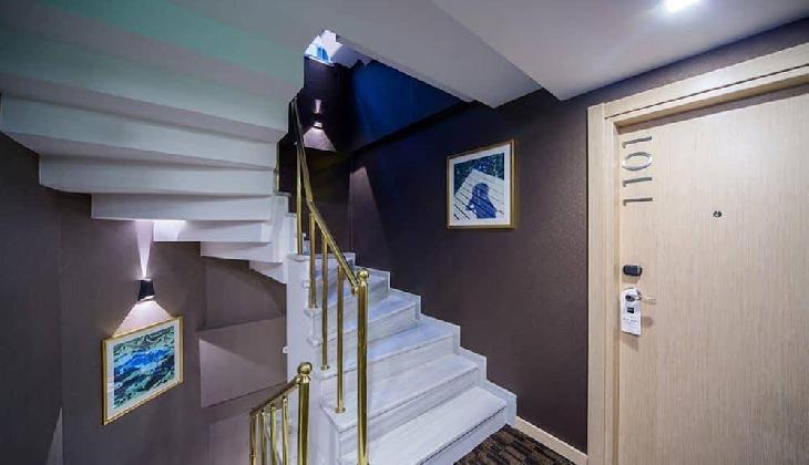 Molton Monapart Mecidiyekoy