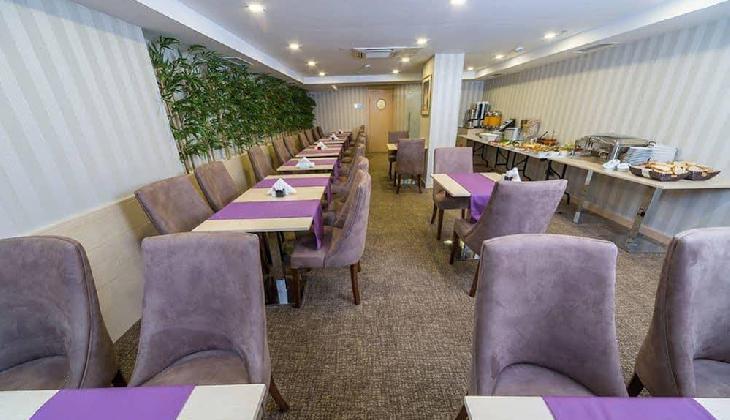 Molton Monapart Mecidiyekoy