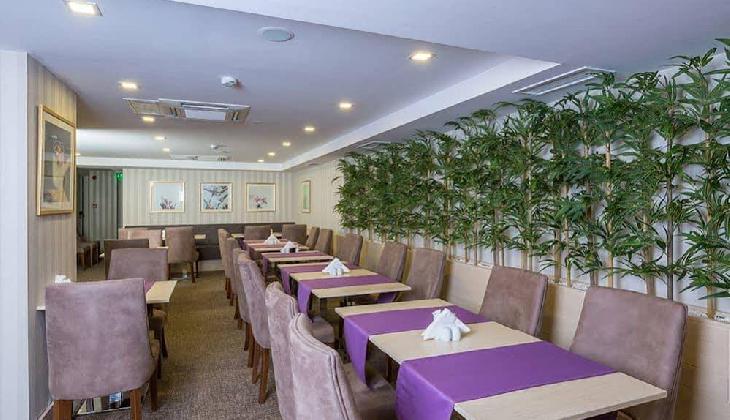 Molton Monapart Mecidiyekoy